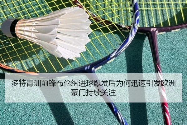 多特青训前锋布伦纳进球爆发后为何迅速引发欧洲豪门持续关注