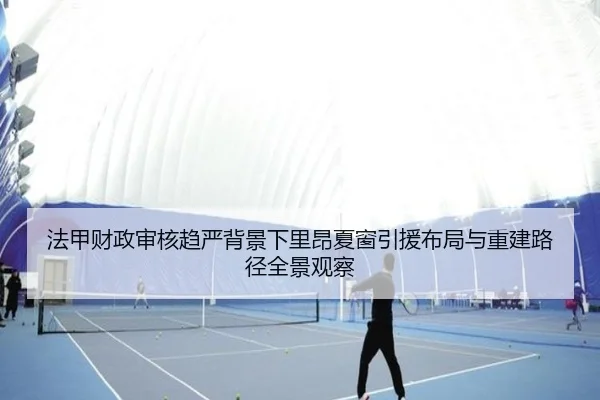 法甲财政审核趋严背景下里昂夏窗引援布局与重建路径全景观察